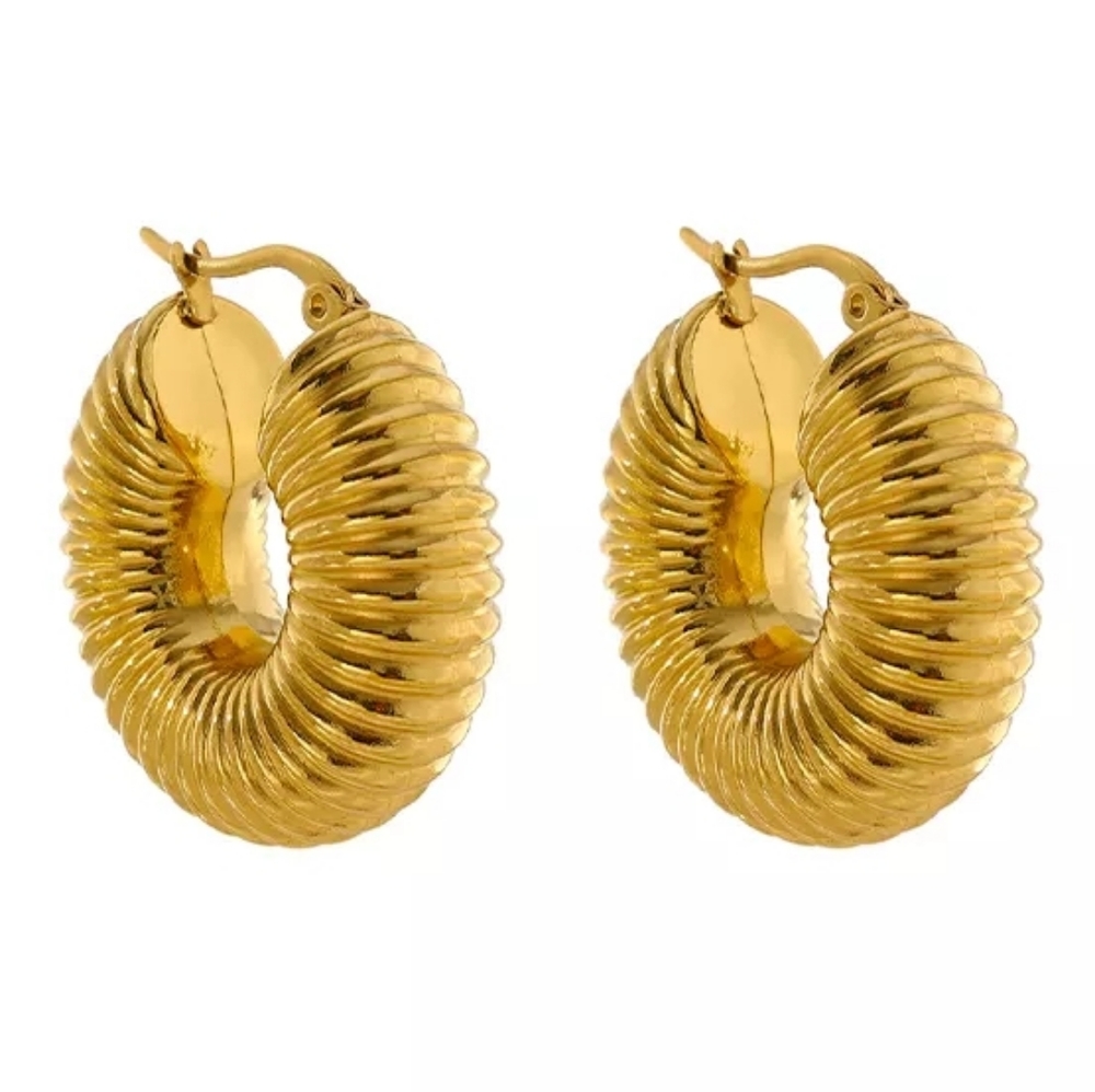 Round Chunky Hoop Earrings - Picture 6 of 8